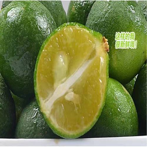 海南青金桔
