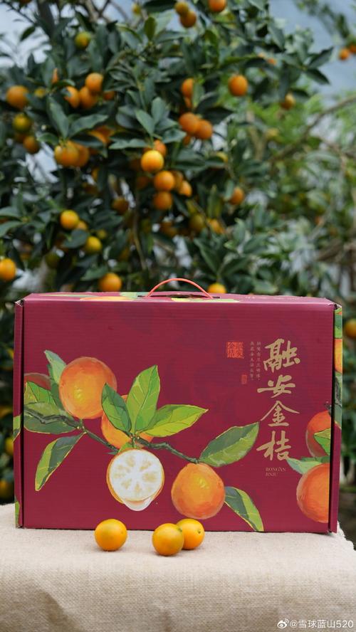 近期流感高发,有止咳润喉作用的金桔卖的很火爆,融安金桔接供应商通知