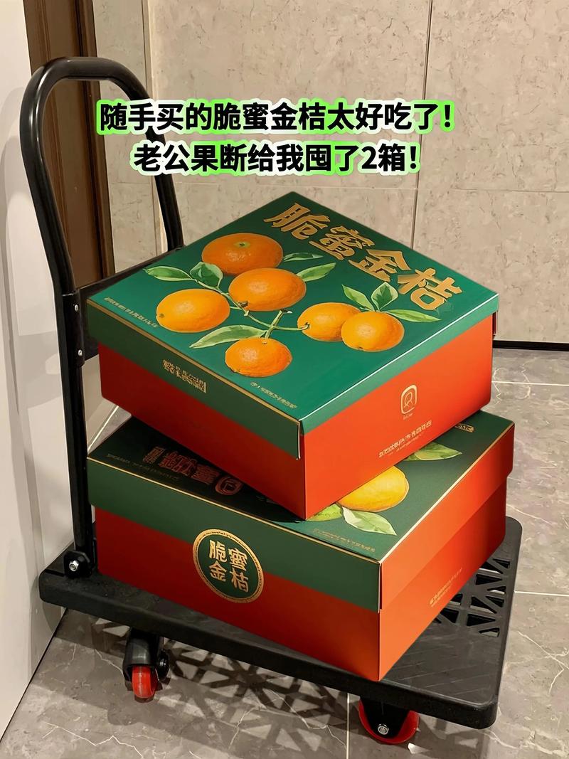 金桔 #广西金桔 #脆蜜金桔 #小金桔 #现摘现发新鲜到家 - 抖音