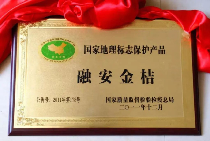 一颗"金果",带动万户走上致富路
