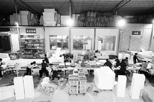 广西区社:布网点强服务推进农村物流高质量发展